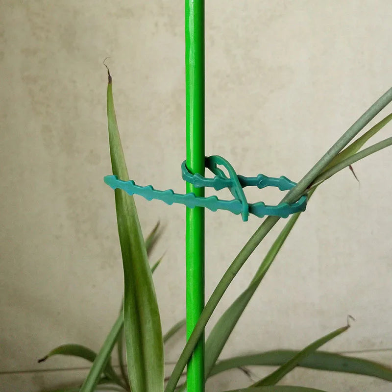 50/100Pcs Reusable Garden Cable Ties Plant Support Shrubs Fastener Tree Locking Nylon Adjustable Plastic Cable Ties Tools